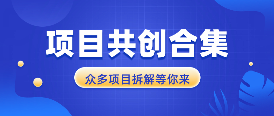 项目共创合集，从0-1全过程拆解，让你迅速找到适合自已的项目-创业吧
