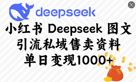 小红书Deepseek图文引流私域售卖资料，单日变现多张-创业吧