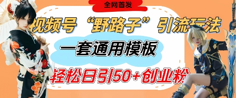 视频号“野路子”玩法，评论区疯狂截流，一套模板单日单号引流50+创业粉-创业吧