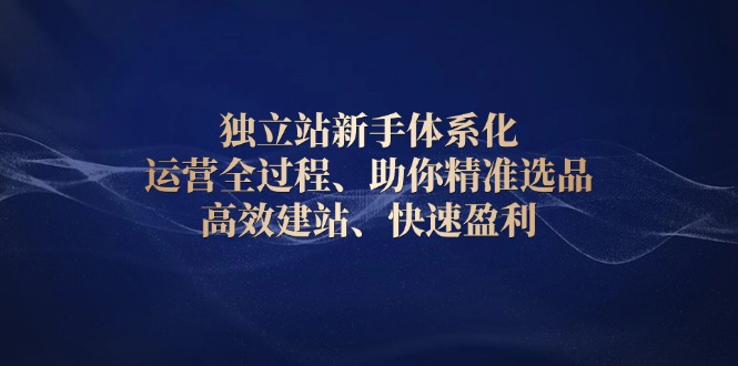 独立站新手体系化 运营全过程，助你精准选品、高效建站、快速盈利-创业吧