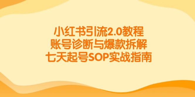 小红书引流2.0教程，账号诊断与爆款拆解，七天起号SOP实战指南-创业吧