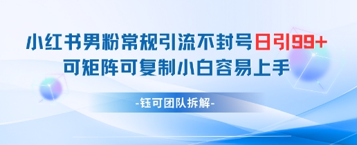 小红书男粉常规引流不封号日引99+变现简单 可矩阵可复制小白容易上手-创业吧