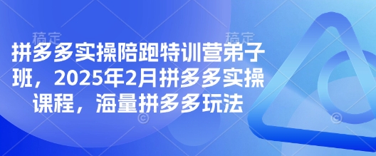 拼多多实操陪跑特训营弟子班，2025年2月拼多多实操课程，海量拼多多玩法-创业吧