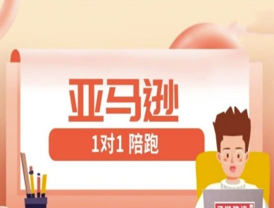 亚马逊1对1陪跑课(FBA/FBM精铺)跨境亚马逊教程-创业吧