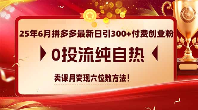 25年6月拼多多最新日引300+付费创业粉，0投流纯自热 卖课月变现六位数方法-创业吧