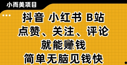 小而美的项目，抖音小红书B站视频点赞、关注、评论就能挣钱，简单无脑立见收益，妥妥的零撸项目【揭秘】-创业吧
