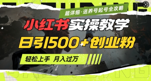 2月小红书最新日引500+创业粉实操教学【超详细】小白轻松上手，月入1W+，附小红书养号起号SOP-创业吧