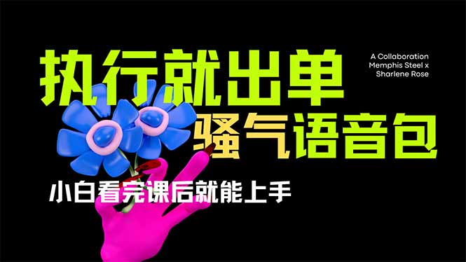 爆火全网的开车导航骚气语音包,只要执行就出单，小白看完课程就能实操…-创业吧