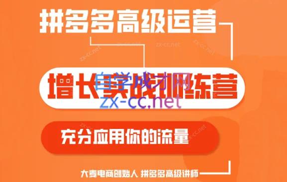 大麦老师·拼多多单品爆款打造课程(更新6月)|南巷学社