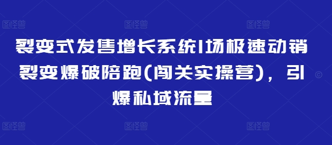 裂变式发售增长系统1场极速动销裂变爆破陪跑(闯关实操营)，引爆私域流量-创业吧