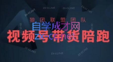 狼团联盟·2024视频号带货|南巷学社