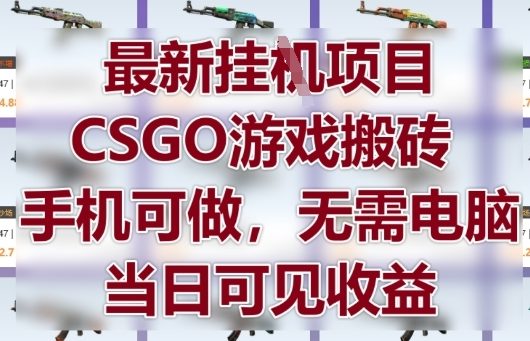 最新挂G项目，CSGO游戏搬砖，手机可做，无需电脑，当日见收益【揭秘】-创业吧