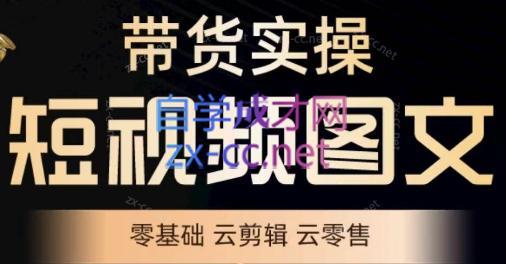 鑫哥·2024零基础短视频带货实操营|南巷学社
